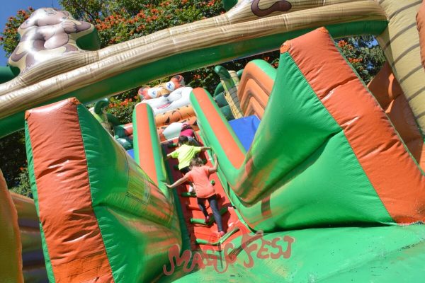 aluguel-de-brinquedos-toboga-tigre