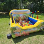 festa-infantil-com-piscina-de-bolinhas-baby