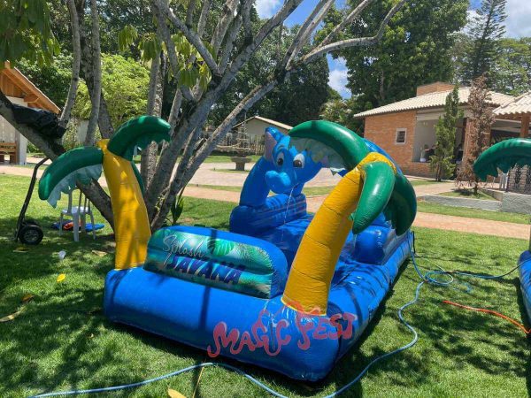 festa-infantil-slide-savana-splash