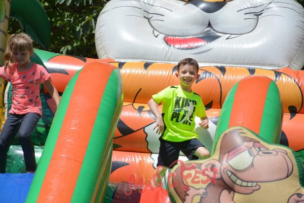 festa-infantil-toboga-tigre