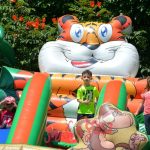 locacao-de-brinquedos-toboga-tigre