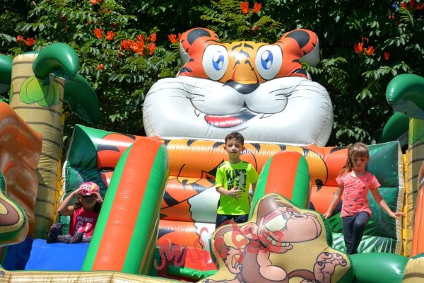 locacao-de-brinquedos-toboga-tigre