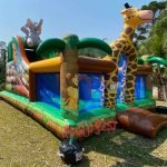 festa-infantil-multiplay-safari-2