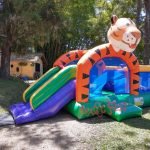 festas-infantis-kid-tigre