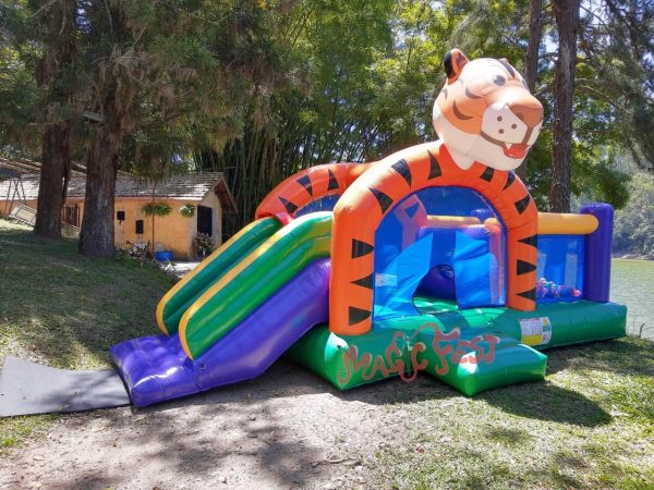 festas-infantis-kid-tigre